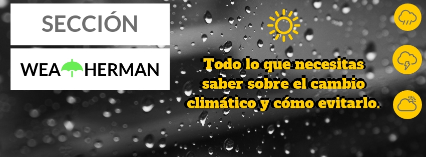 ¿Por qué tanto drama por una bolsa de plástico? – Sección&nbsp;WEATHERMAN